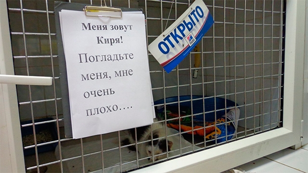 Фото: vk.com/club40530389