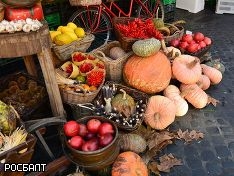 ���� ������� ���������